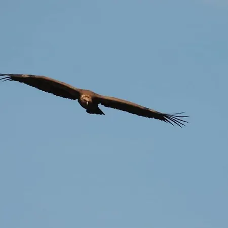 Akassa Bioclimaticos En Hurdes بيت للعطل