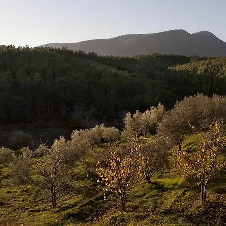 Akassa Bioclimaticos En Hurdes Сasa de vacaciones Pinofranqueado